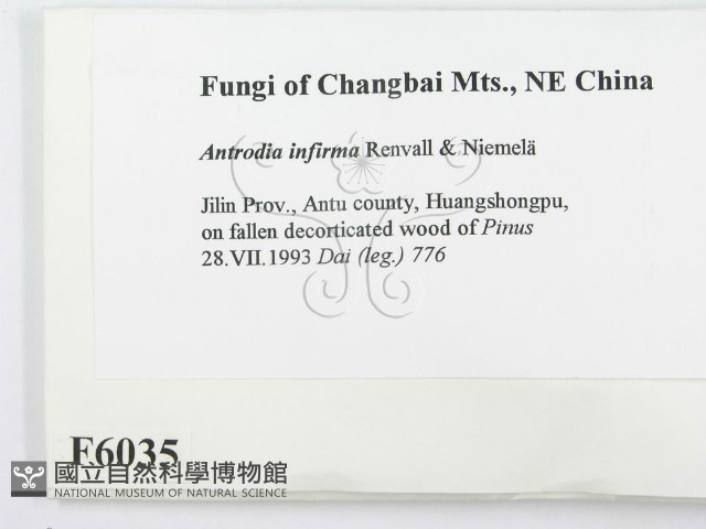 登錄號:F0006035藏品圖，第2張