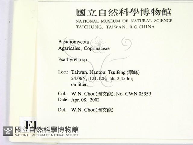 登錄號:F0016035藏品圖，第2張