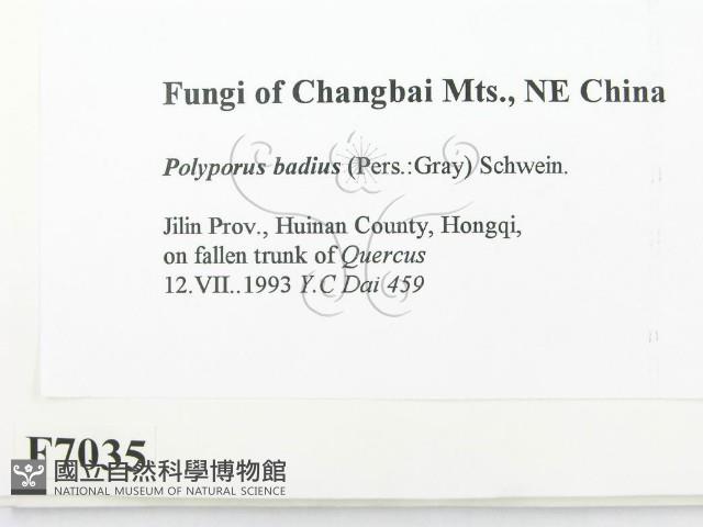 登錄號:F0007035藏品圖，第2張