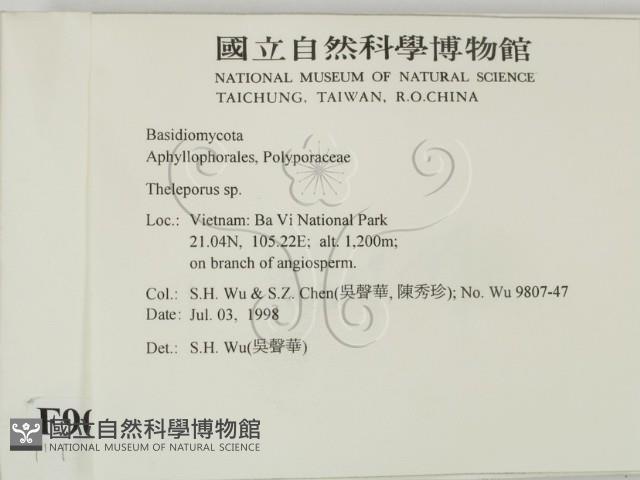 登錄號:F0009035藏品圖，第2張