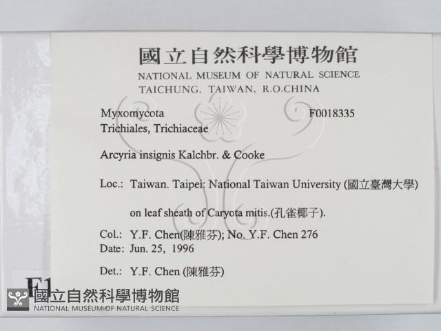 登錄號:F0018335藏品圖，第2張