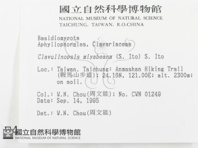 登錄號:F0004335藏品圖，第2張