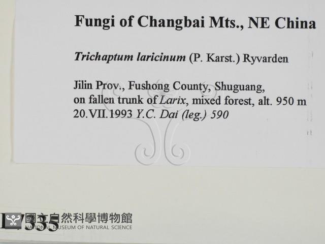 登錄號:F0007335藏品圖，第2張