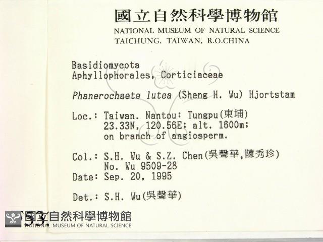 登錄號:F0005335藏品圖，第2張