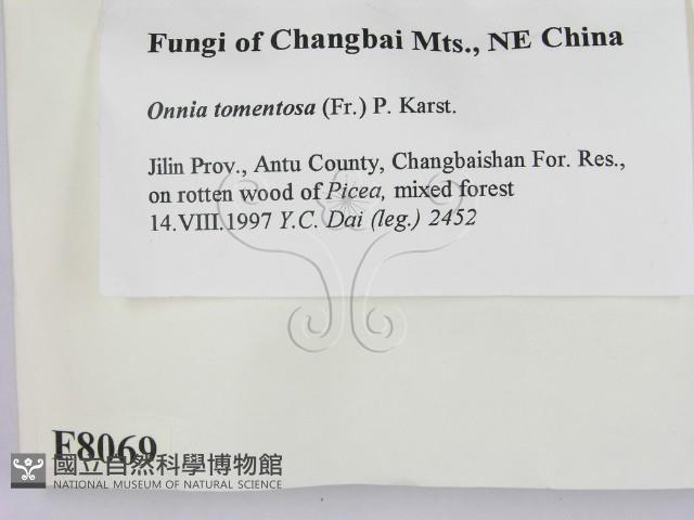 登錄號:F0008069藏品圖，第2張