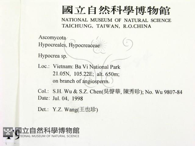 登錄號:F0009069藏品圖，第2張