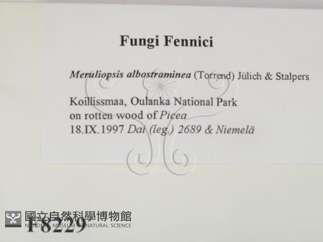登錄號:F0008229藏品圖，第2張