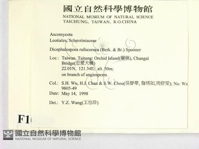 登錄號:F0010229藏品圖，第2張