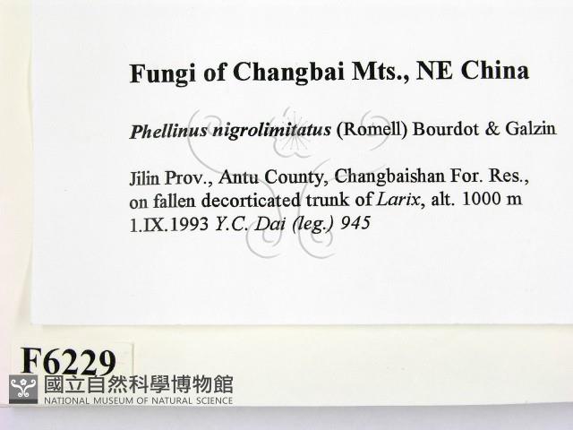 登錄號:F0006229藏品圖，第2張