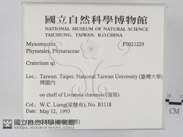 登錄號:F0021229藏品圖，第2張