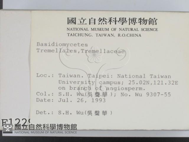 登錄號:F0001229藏品圖，第2張