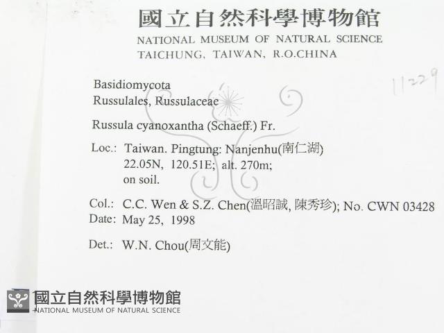登錄號:F0011229藏品圖，第2張