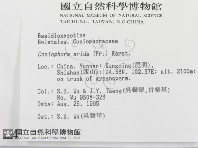 登錄號:F0004229藏品圖，第2張