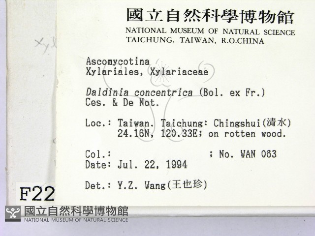 登錄號:F0002229藏品圖，第2張