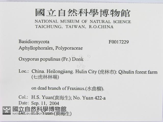 登錄號:F0017229藏品圖，第2張