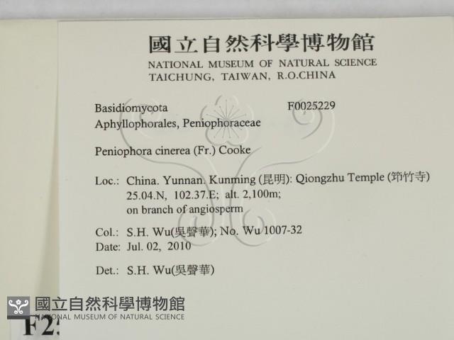 登錄號:F0025229藏品圖，第2張