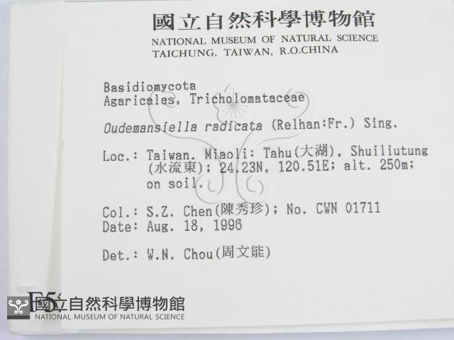 登錄號:F0005229藏品圖，第2張