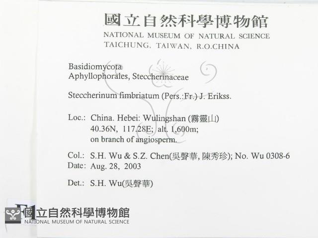 登錄號:F0015229藏品圖，第2張