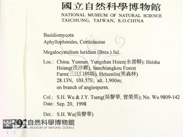 登錄號:F0009229藏品圖，第2張