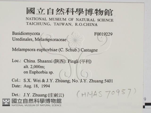 登錄號:F0019229藏品圖，第2張