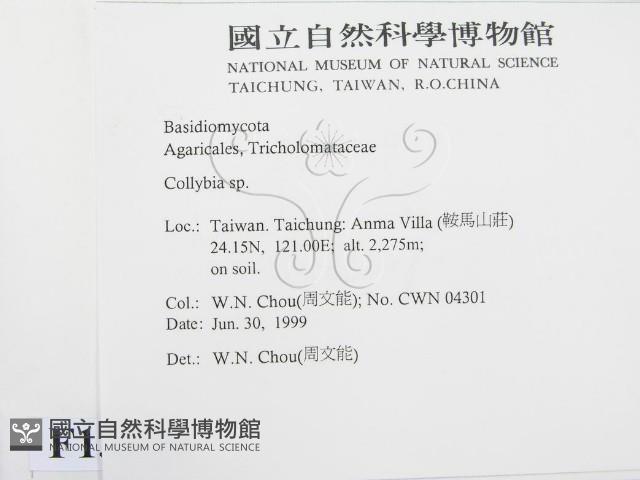 登錄號:F0013229藏品圖，第2張