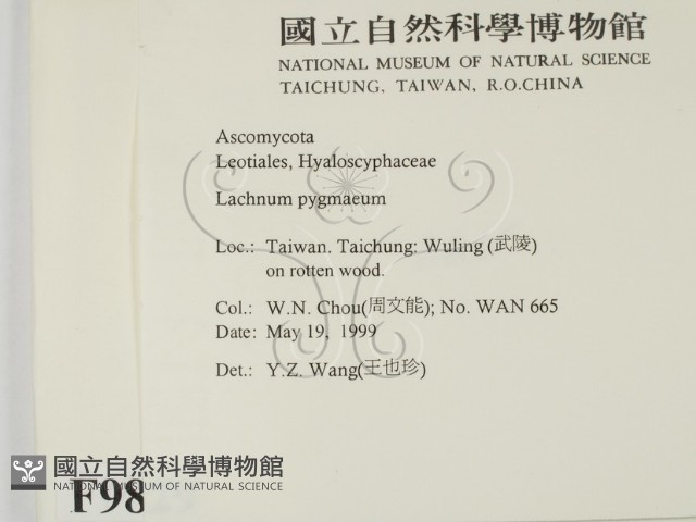 登錄號:F0009829藏品圖，第2張