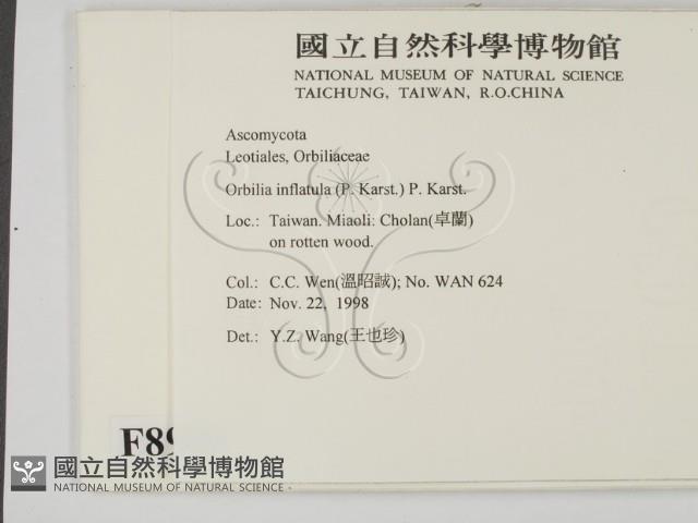 登錄號:F0008929藏品圖，第2張