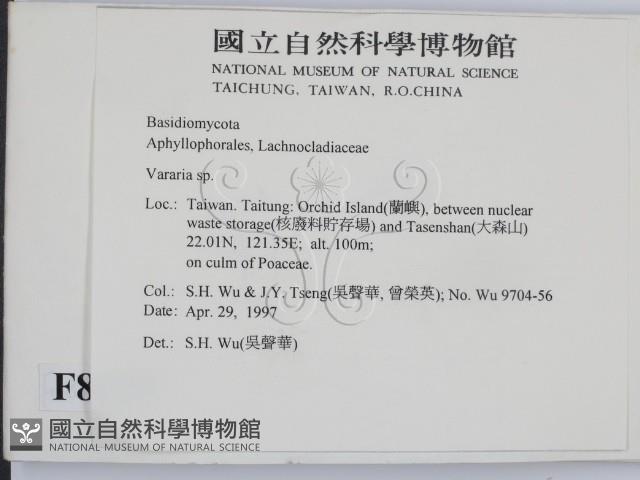 登錄號:F0008629藏品圖，第2張