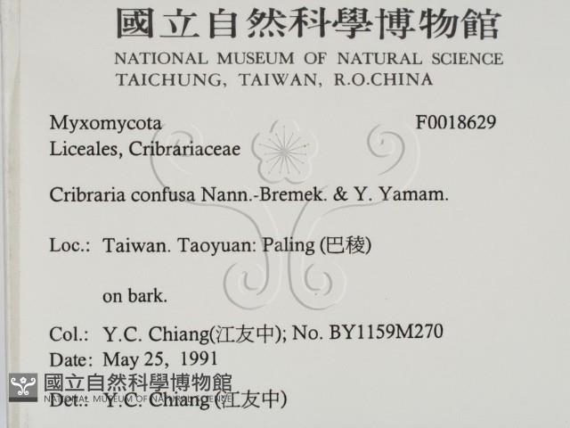 登錄號:F0018629藏品圖，第2張
