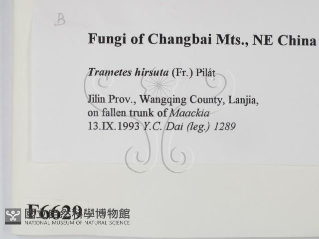 登錄號:F0006629藏品圖，第2張