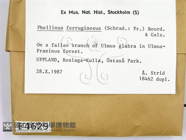 登錄號:F0004629藏品圖，第2張