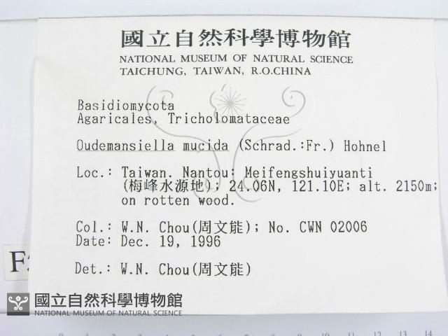 登錄號:F0005629藏品圖，第2張