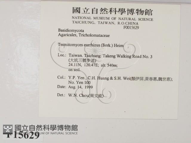 登錄號:F0015629藏品圖，第2張