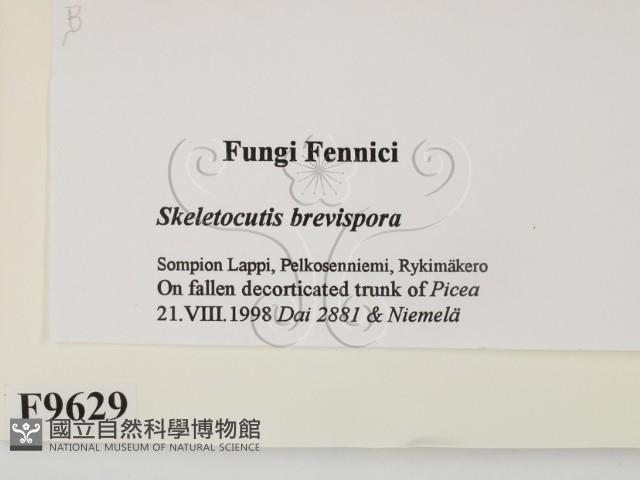 登錄號:F0009629藏品圖，第2張