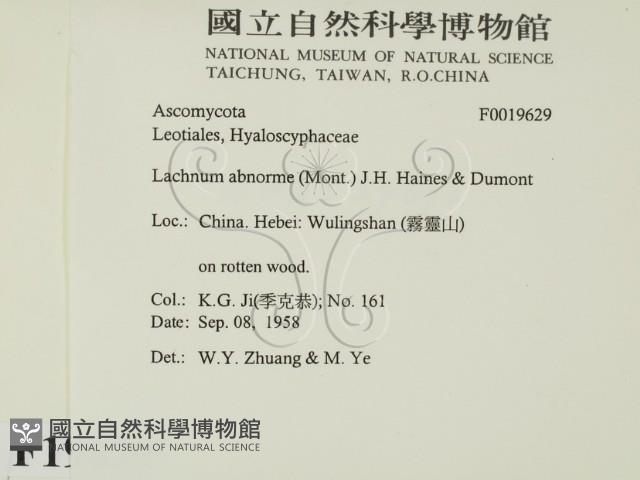 登錄號:F0019629藏品圖，第2張