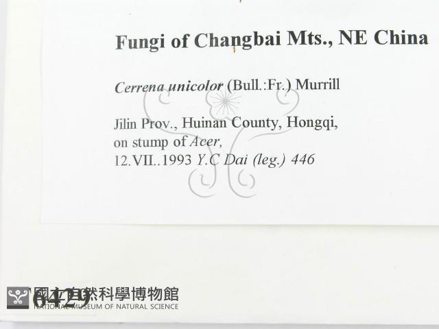 登錄號:F0006429藏品圖，第2張