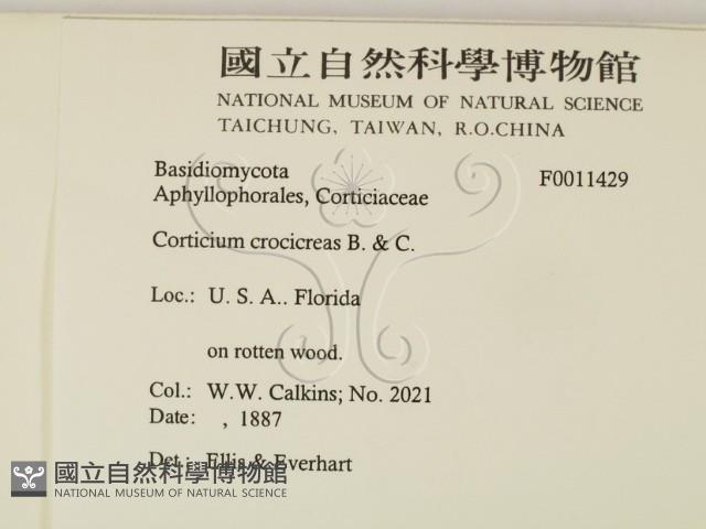 登錄號:F0011429藏品圖，第2張