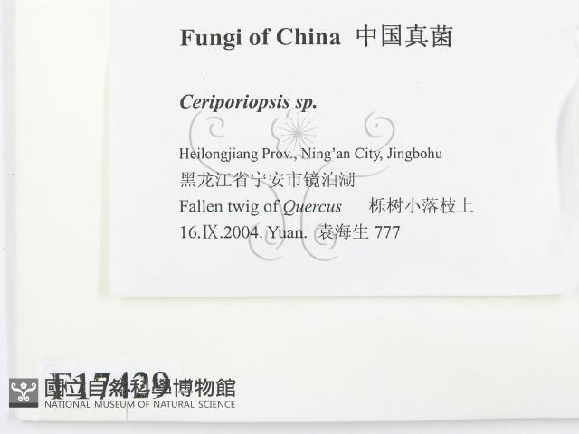 登錄號:F0017429藏品圖，第2張