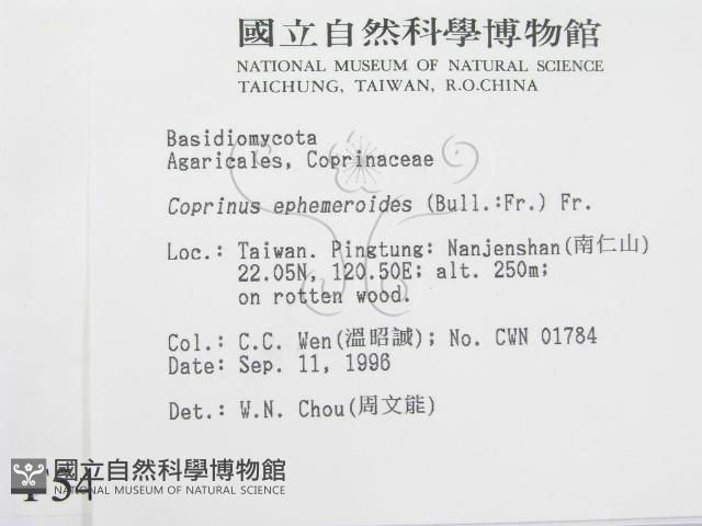 登錄號:F0005429藏品圖，第2張