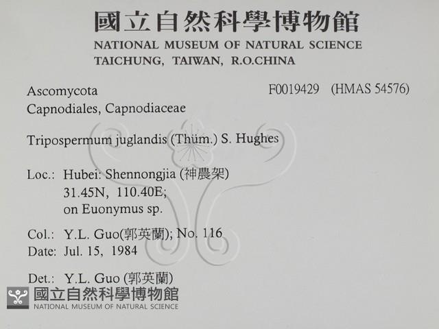 登錄號:F0019429藏品圖，第2張