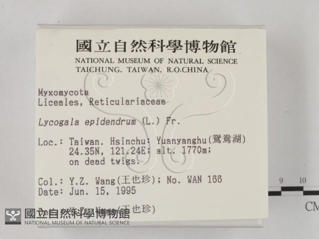 登錄號:F0003429藏品圖，第2張