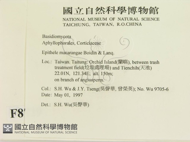 登錄號:F0008729藏品圖，第2張