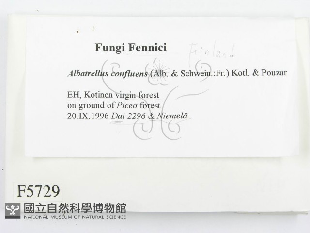 登錄號:F0005729藏品圖，第2張