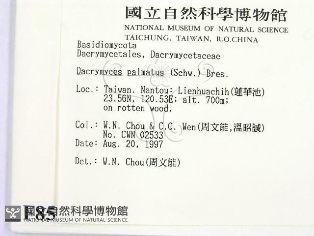 登錄號:F0008529藏品圖，第2張