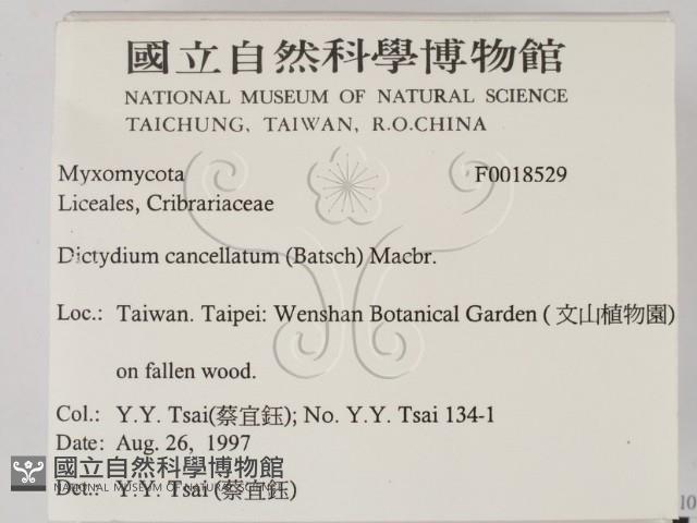 登錄號:F0018529藏品圖，第2張