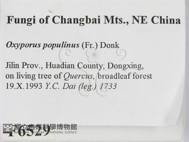 登錄號:F0006529藏品圖，第2張