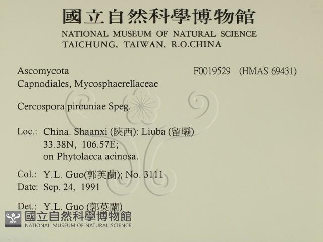 登錄號:F0019529藏品圖，第2張