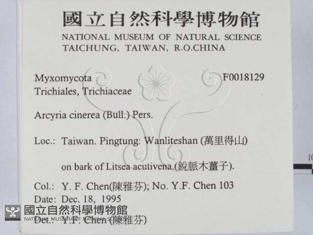 登錄號:F0018129藏品圖，第2張