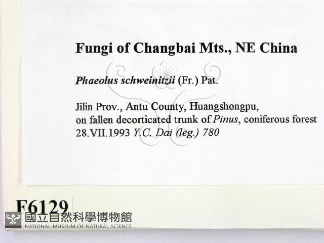 登錄號:F0006129藏品圖，第2張