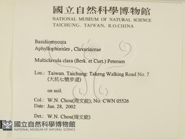 登錄號:F0016129藏品圖，第2張